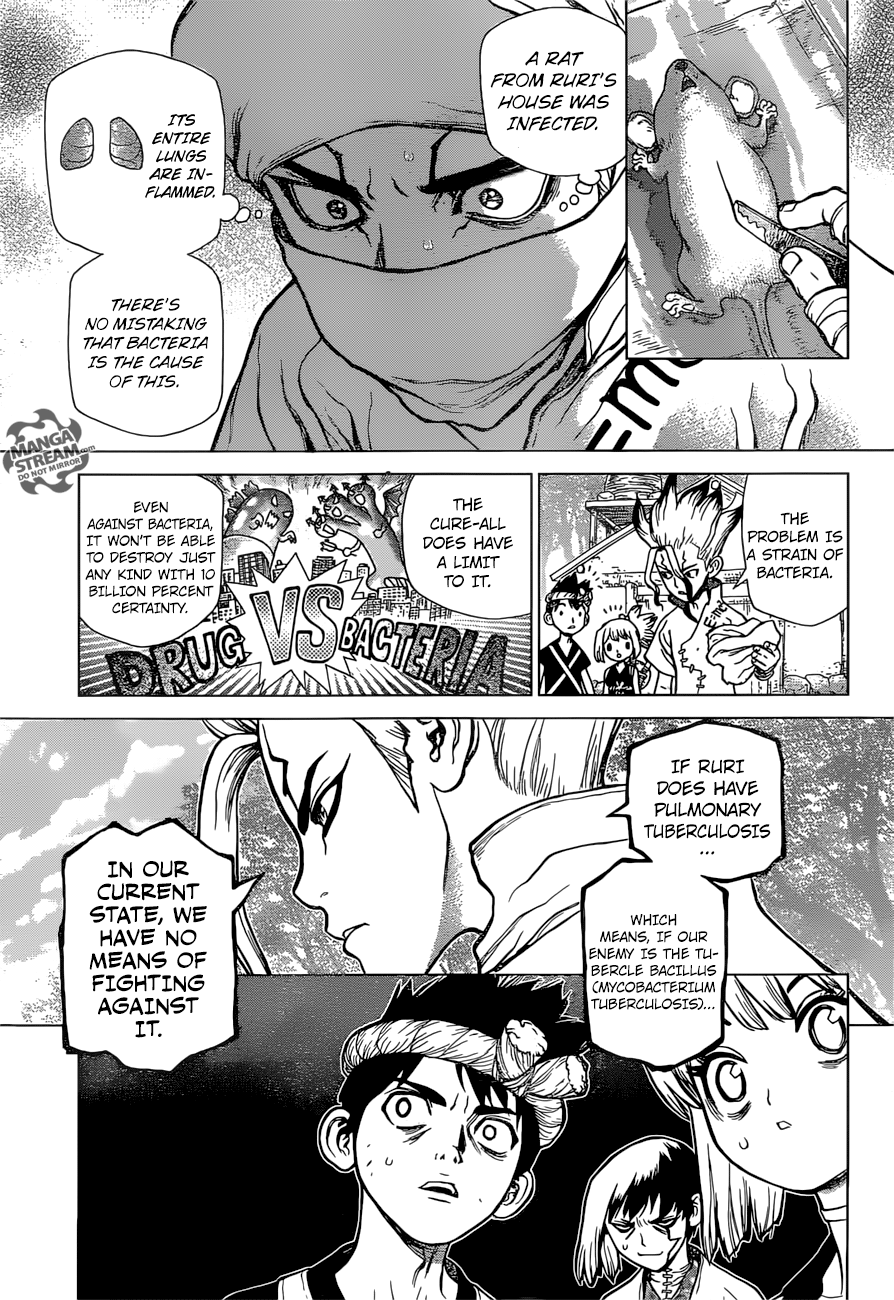 Dr. Stone Chapter 41 6